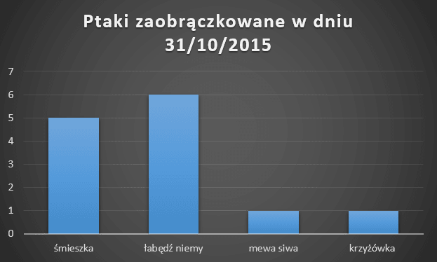 wykres zaobrączkowania ptaków